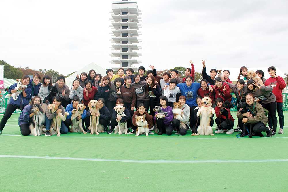 国際動物専門学校