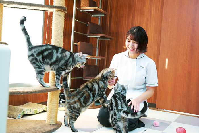 大宮国際動物専門学校