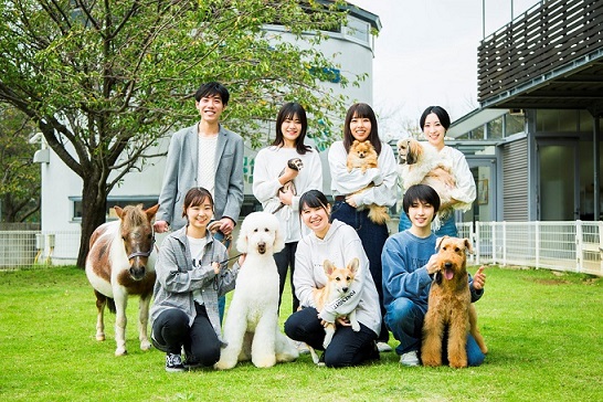 専門学校ちば愛犬動物フラワー学園