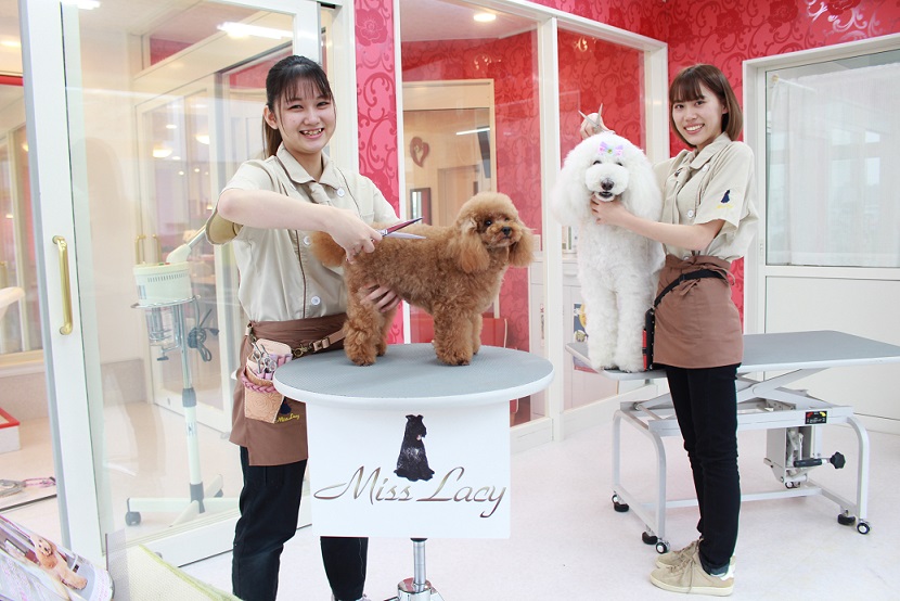 アジア動物専門学校