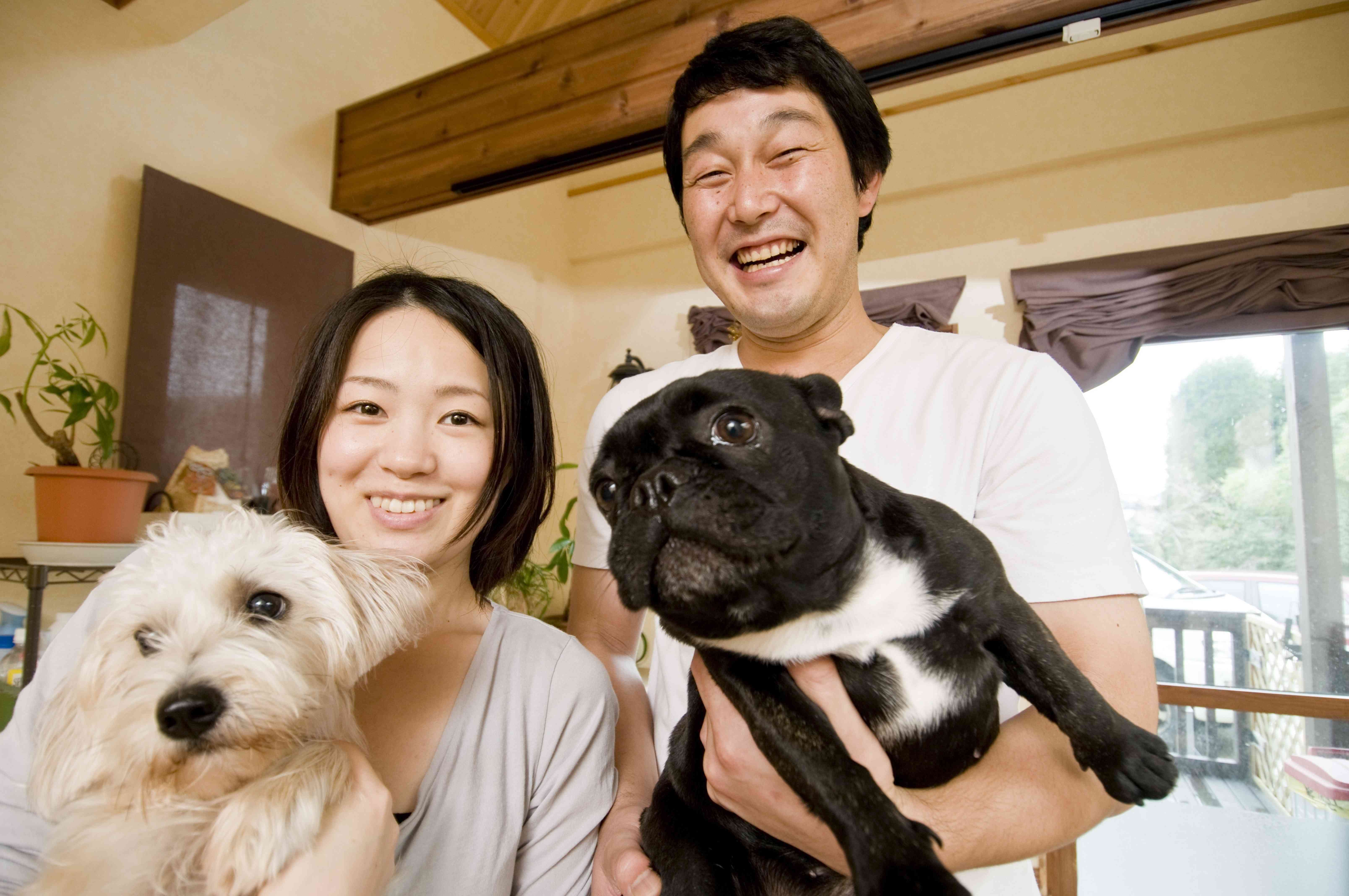 ブリーダープロフェッショナル講座 イメージ