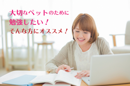 愛玩動物飼養管理士 ペットの勉強